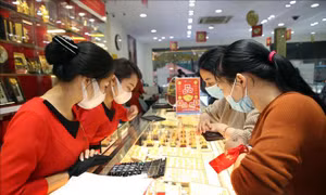Giá vàng sáng 15/12 ổn định ở mức hơn 55 triệu đồng/lượng