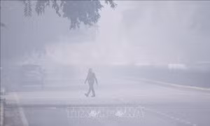 Ô nhiễm không khí làm giảm đáng kể tuổi thọ của con người