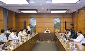 Đề nghị đồng bộ pháp luật đất đai, nhà ở và kinh doanh bất động sản