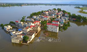 Hà Nội: Báo động lũ trên sông Tích, cảnh báo lũ trên sông Bùi