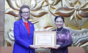 Trao tặng kỷ niệm chương cho Trưởng Đại diện thường trú UNDP tại Việt Nam