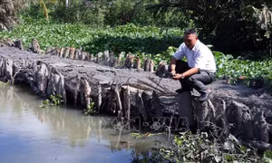 Đề nghị hỗ trợ kinh phí phòng chống hạn, thiếu nước và xâm nhập mặn