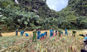 Mưa lớn gây lũ quét và sạt lở đất tại Tuyên Quang