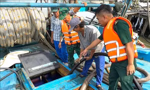 Xử lý tàu cá vận chuyển hơn 31.000 lít dầu không rõ nguồn gốc