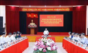 Thường trực Ban Bí thư Trần Cẩm Tú chủ trì Hội nghị giao ban quý II/2026