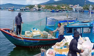 Xã hội hóa thu gom rác, hồi sinh môi trường nuôi biển Vân Phong