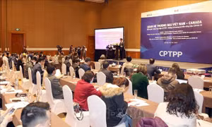 Hướng tới quan hệ thương mại song phương bền vững Việt Nam - Canada 