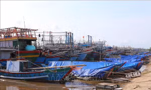  Yêu cầu huyện đảo Lý Sơn không để người dân ra khỏi nhà từ 12 giờ ngày 14/11
