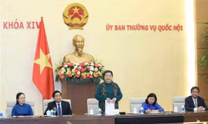 Đa dạng hóa hình thức giới thiệu di sản văn hóa Việt Nam với quốc tế