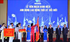 Đại học Quốc gia TP Hồ Chí Minh đón nhận danh hiệu Anh hùng lao động thời kỳ đổi mới