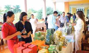 Khai mạc ngày hội Nông sản OCOP tỉnh Bắc Kạn 