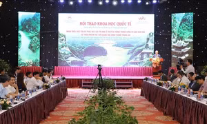 Giữ hồn cốt và phát huy giá trị nhà ở truyền thống trong Khu Di sản Tràng An