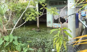Cụm dân cư vượt lũ ở Kiên Giang sẽ không còn cảnh 'sống chung với lũ'