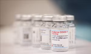 Moderna xây dựng trung tâm vaccine mRNA ở Anh
