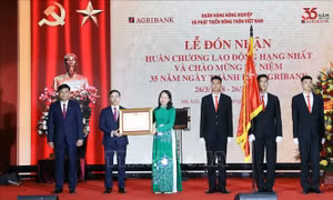 Phát huy vai trò ngân hàng chủ lực trong cung ứng vốn phát triển nông nghiệp, nông thôn