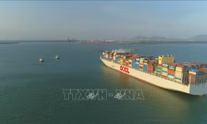 Kiến nghị tạo điều kiện đón khách quốc tế tại cảng thuộc khu vực Cái Mép - Thị Vải
