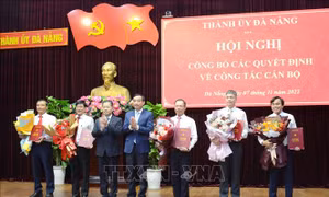 Đà Nẵng: 5 cán bộ được điều động, phân công giữ các vị trí công tác mới