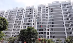 Hiện thực giấc mơ an cư - Bài cuối: Mở cánh cửa chiến lược từ nhà ở cho thuê 