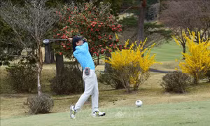 Hơn 50 golf thủ Việt Nam thi đấu tại giải Sakura Championship 2023 ở Nhật Bản 