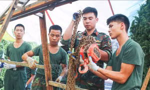 Tiếp nối hành trình tri ân các anh hùng liệt sĩ