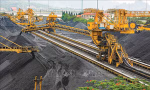 Nhu cầu than trong tháng 5 cao nhất từ đầu năm đến nay