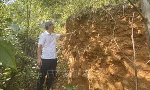 Quảng Ngãi: Chủ động ứng phó với nguy cơ sạt lở núi