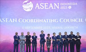 ASEAN tăng cường hợp tác chống tin giả