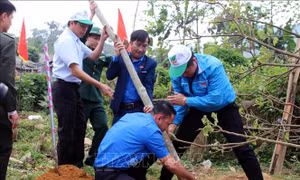 Phát huy tinh thần thanh niên xung kích, tình nguyện vì cộng đồng