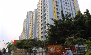 Kiến nghị xem xét trách nhiệm hình sự thành viên đơn vị quản lý vận hành chung cư Carina