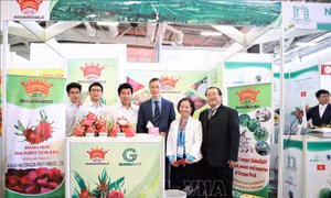 Các doanh nghiệp Việt Nam tham gia Hội chợ Fruit Logistica 2020