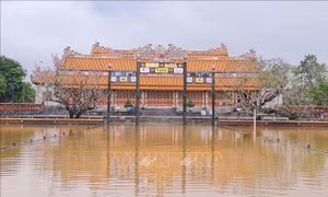 Xử lý khẩn cấp, gia cố đoạn tường thành phía Bắc Hoàng thành Huế