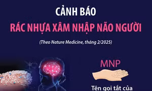 Cảnh báo rác nhựa xâm nhập não người