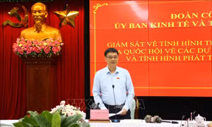 Ủy ban Kinh tế và Tài chính Quốc hội giám sát tại Đồng Nai