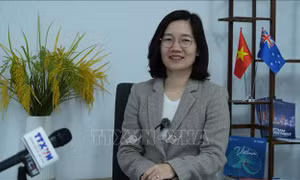 Thương mại Việt Nam - Australia hướng tới những động lực tăng trưởng mới
