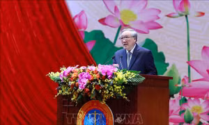 Sửa đổi Luật Tổ chức Tòa án nhân dân, đẩy mạnh cải cách tư pháp