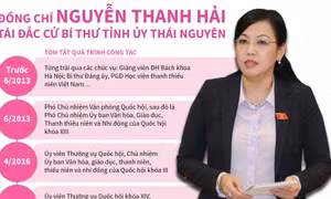 Đồng chí Nguyễn Thanh Hải tái đắc cử Bí thư Tỉnh ủy Thái Nguyên