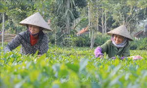Mở không gian phát triển, tạo sức bật kinh tế vùng
