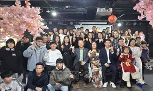Tạo dựng cộng đồng kết nối và phát triển tình hữu nghị Việt Nam - Hàn Quốc