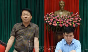 Xử lý nghiêm vi phạm quản lý đất đai ở huyện Thanh Oai, Hà Nội