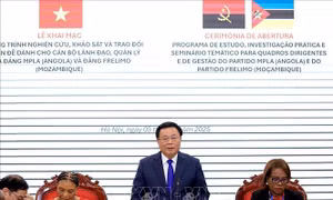 Khảo sát, trao đổi chuyên đề dành cho cán bộ lãnh đạo, quản lý của Angola, Mozambique