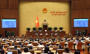 Đợt I, Kỳ họp thứ Nhất, Quốc hội khóa XVI: Những điểm nhấn nổi bật