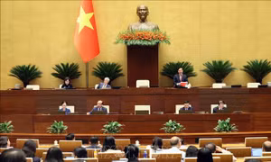 Kỳ họp thứ Nhất, Quốc hội khóa XVI: Rút ngắn thời gian cung cấp thông tin có sẵn và đã số hóa