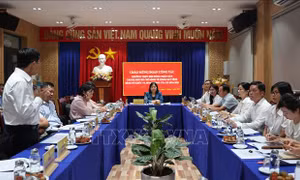 TP Hồ Chí Minh: Khảo sát tình hình tổ chức và hoạt động của Trung tâm Phục vụ hành chính công