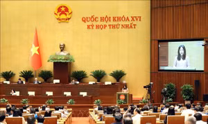 Quốc hội nghe tờ trình, báo cáo thẩm tra một số dự thảo nghị quyết