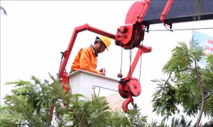 Ninh Thuận chủ động đảm bảo an toàn lưới điện để ứng phó với 'bão chồng bão'