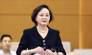Cho ý kiến về việc thực hiện cải cách tiền lương, điều chỉnh lương hưu