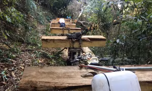 Kon Tum mở rộng điều tra vụ phá rừng Đăk Tô