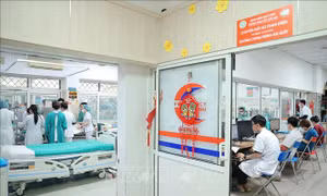 Hệ thống y tế duy trì thường trực, bảo đảm phòng chống dịch và khám chữa bệnh dịp Tết Bính Ngọ