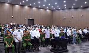 'Nóng' trong tuần: Xét xử vụ án ‘Chuyến bay giải cứu’; hướng dẫn chi trả lương hưu mới