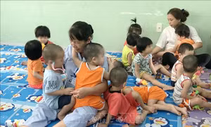 Vụ bạo hành trẻ em ở Mái ấm Hoa Hồng: Các cơ sở tiếp nhận trẻ báo cáo nhanh